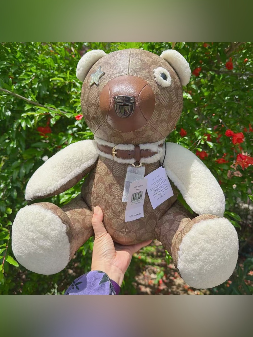NWT COACH Bear In Signature Canvas F75528